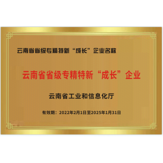 云南省專精特新成長型企業榮譽